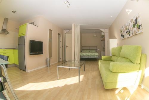 Apartment Loft